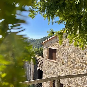 Sau Sant Joan de les Abadesses
