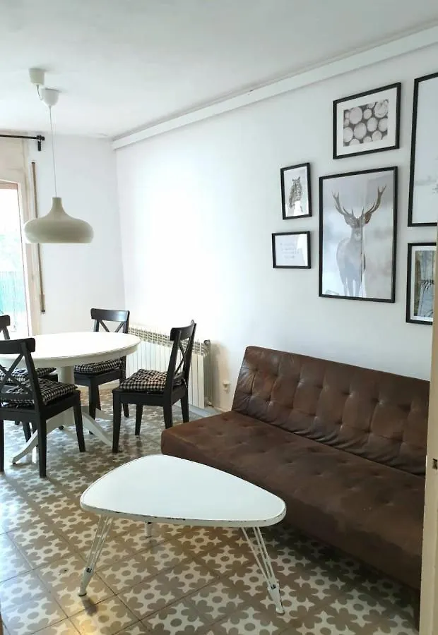 Casa Lola - Terraza Panoramica En El Centro Del Pueblo Apartment Sant Joan de les Abadesses